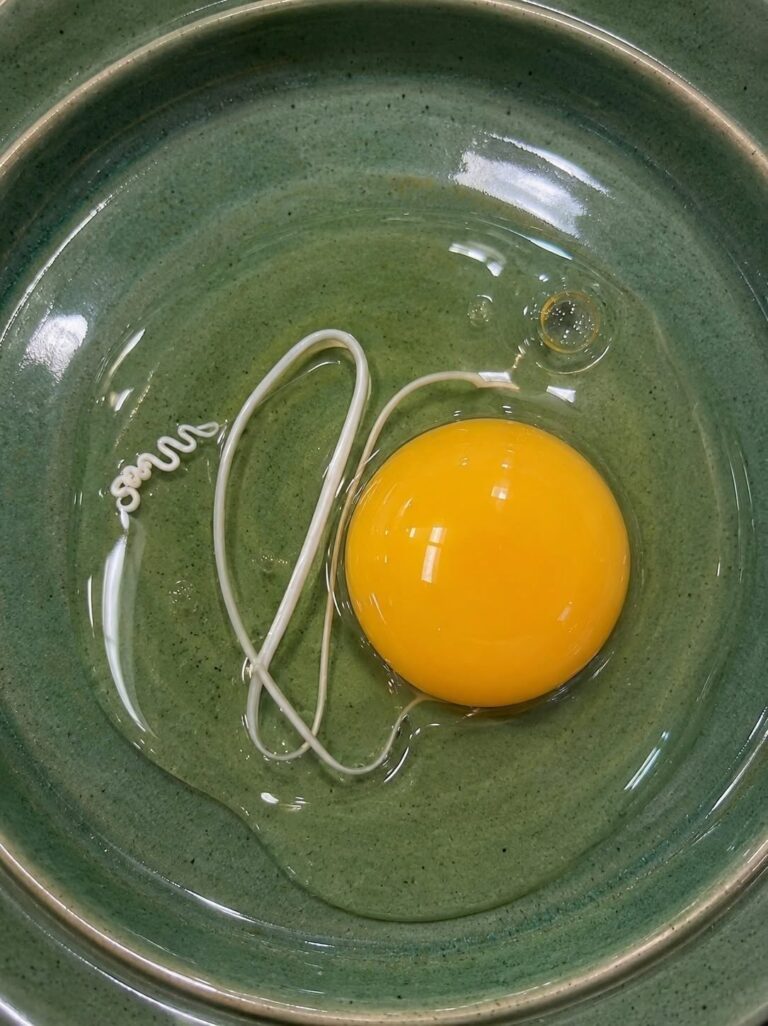 The White String in Your Egg – What It Really Is