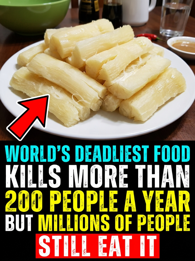  Why Cassava Is Considered One of the World’s Most Dangerous Foods