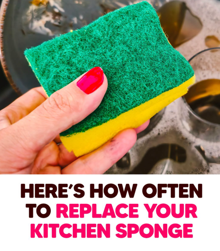 Why Your Kitchen Sponge Might Be the Dirtiest Item in Your Home