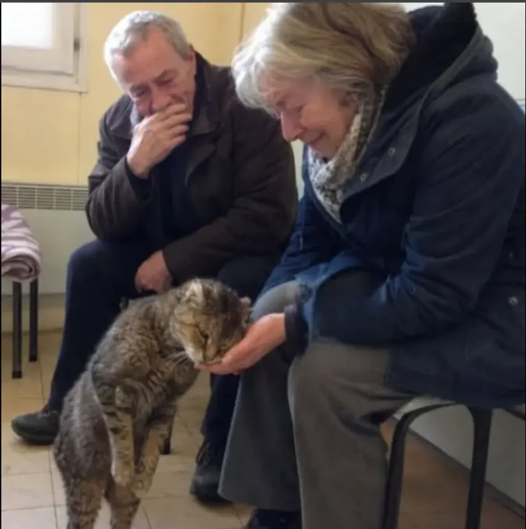 The Cat Who Waited 15 Years to Be Chosen